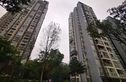 纳帕溪谷实景图