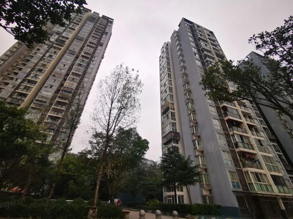 纳帕溪谷实景图