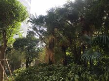 非顶楼,南北两房,温馨客厅,出入口方便,采光无遮挡