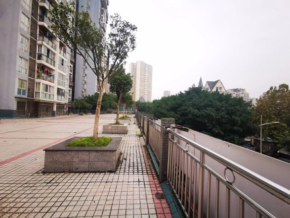 纳帕溪谷实景图
