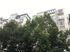 银河花园4室1厅南