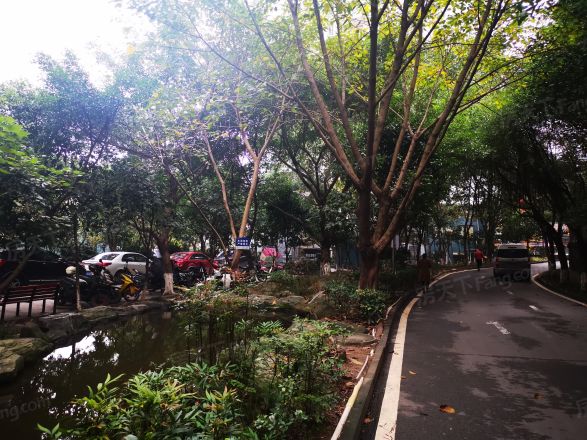 纳帕溪谷实景图