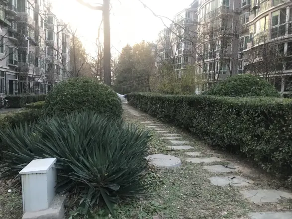 新华联锦园实景图