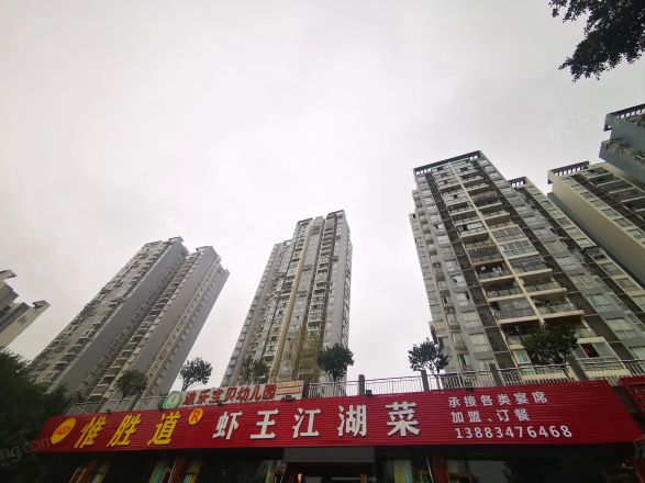 纳帕溪谷实景图