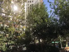 江湾·凉城一村·2室·0厅