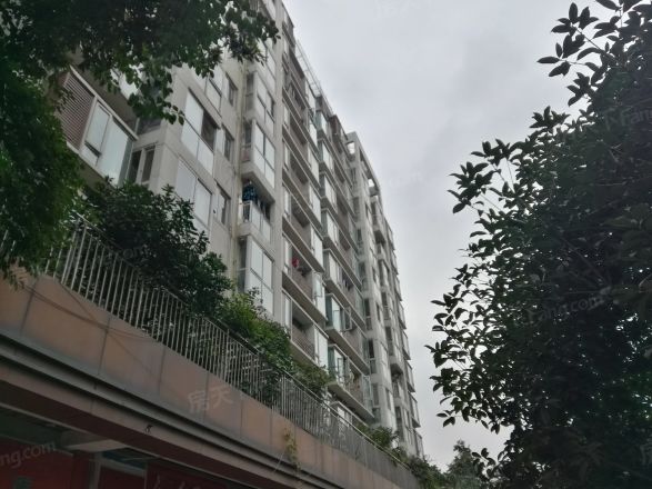 康郡实景图