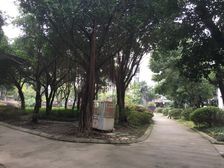 银河花园4室2厅西南