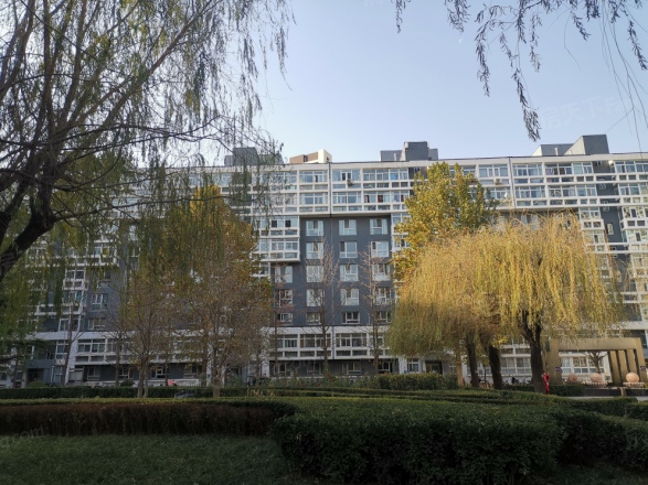 蜂鸟社区实景图