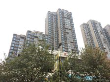 世茂城三期 3室1厅 东南