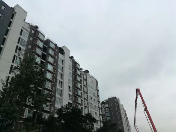康郡实景图