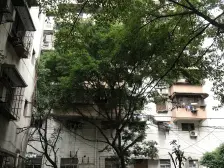 劳动三村 3室2厅 南