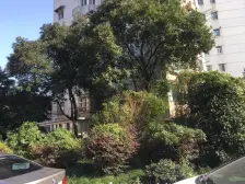 江湾 · 凉城一村 · 3室 · 1厅