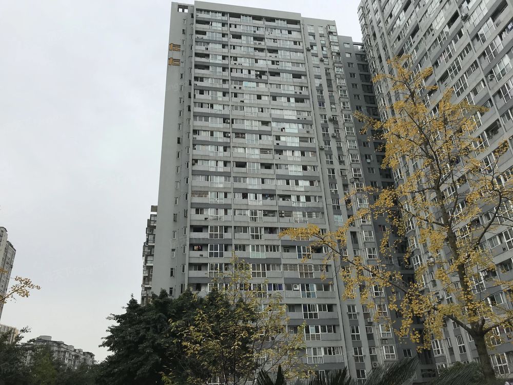 小区相关图