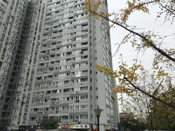 左右实景图
