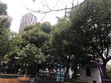 内环内轻轨房,采购无遮挡,三轨交汇