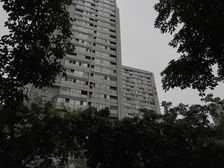 左右 2室1厅 南