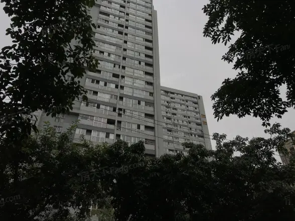 左右实景图