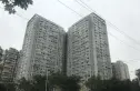 左右实景图