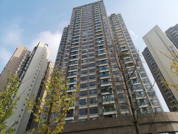 望江锦园实景图
