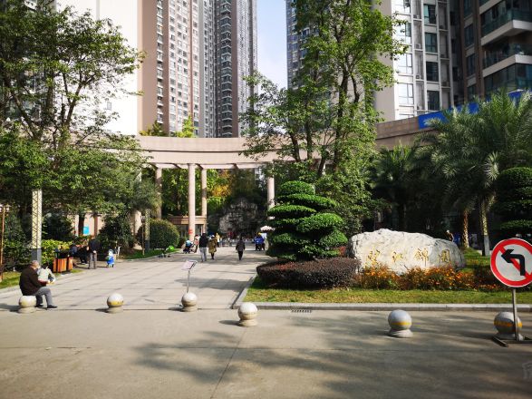 望江锦园实景图
