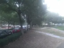 新上东亭一室一厅带阁楼,住一层出租一层