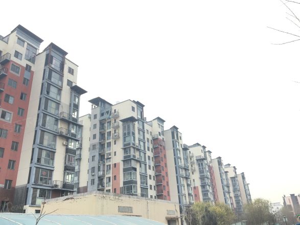 宝翠花都探景园实景图