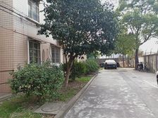梓潼新村2室1厅南北