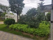 天誉花园 豪华装修 两房 朝南送30万装修