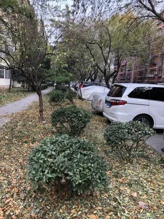 双榆树西里实景图
