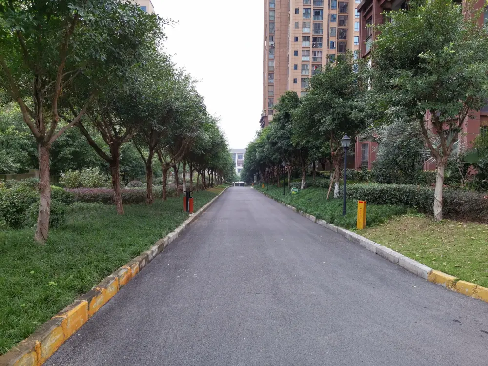 实景图