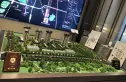 金悦府实景图