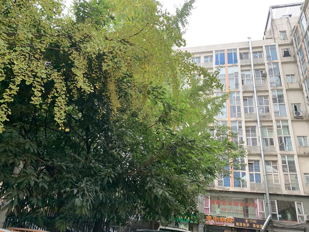 小区相关图