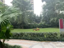 杨家坪 联发嘉园二房110万