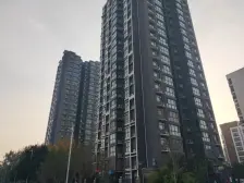 西流湖公园旁 复式带露台 一梯两户 业主诚心卖