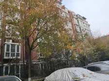 一楼带院 精装修 小三房 种花种菜 田园生活