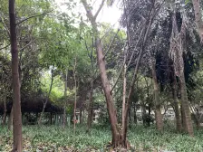 怡锦苑 2室1厅 南 北