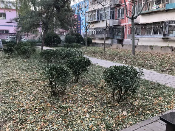 双榆树西里实景图