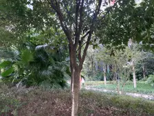 联芳桥 大城小爱二房63万