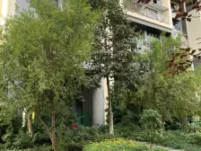 大城小爱 1室2厅 北