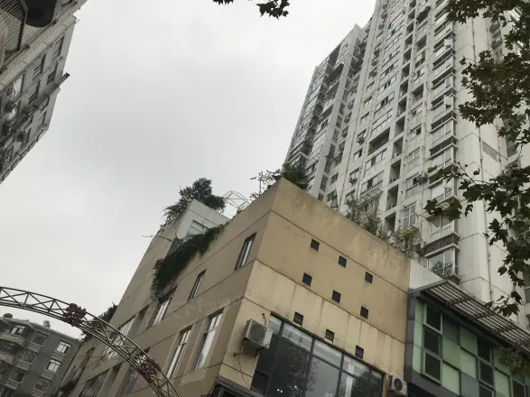 槐树街51号院实景图