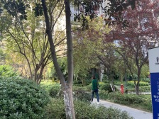 联芳桥 大城小爱二房88.5万