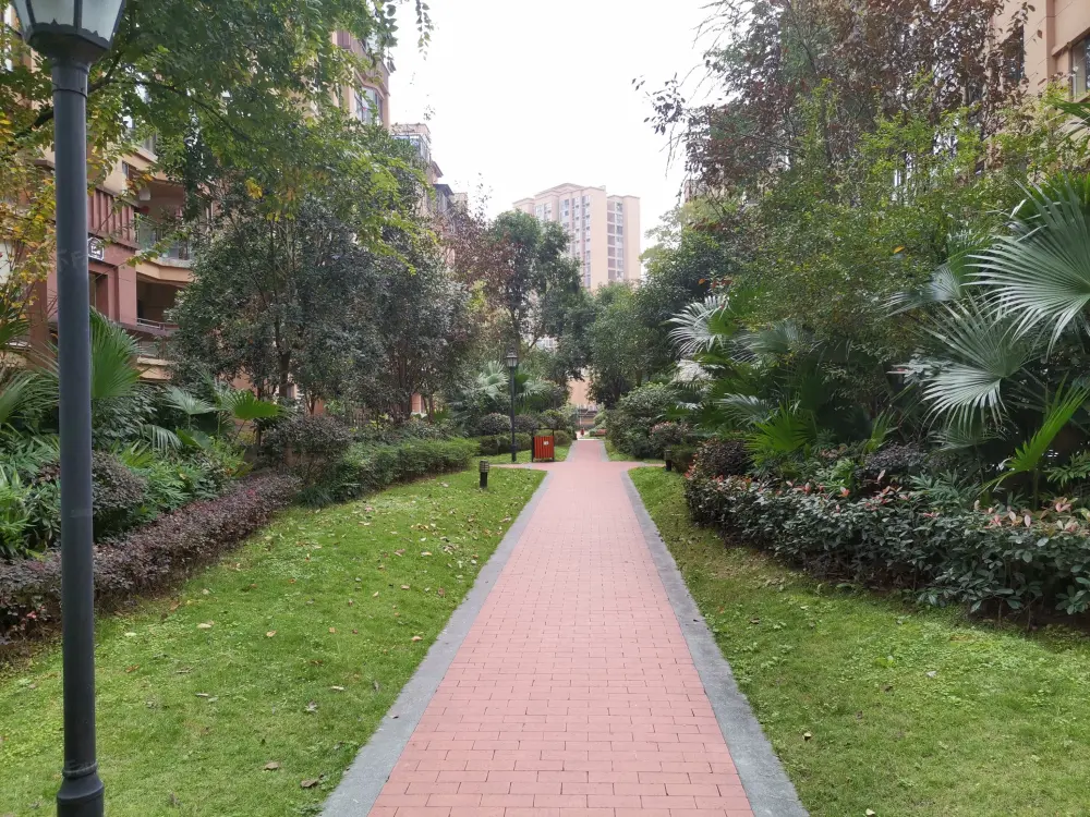 实景图