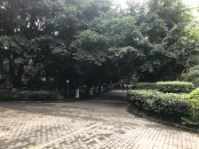 兰湖天精装大四房装修好拎包入住