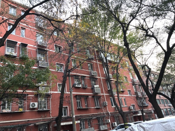 双榆树西里实景图