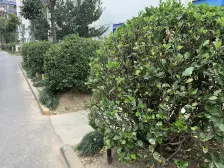 近地铁,入住快 拎包入住 精装 新上房源