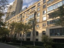 国宾1号 洋房顶复 上下两层 赠送超多 着急卖掉