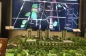 金悦府实景图