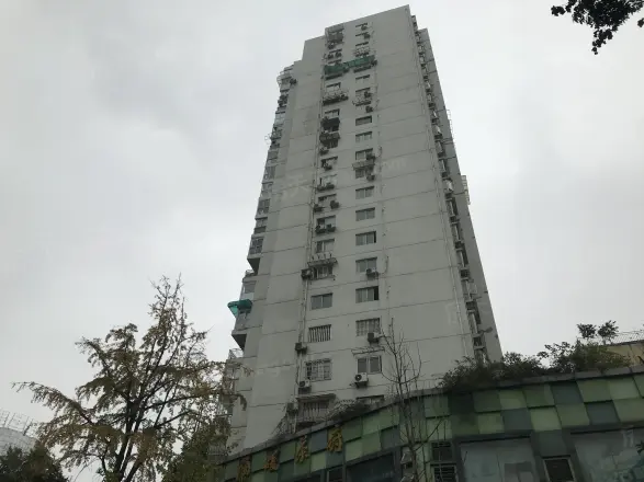 槐树街51号院实景图