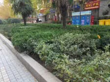 万达旁 电梯房 小高层 南北通透 户型好