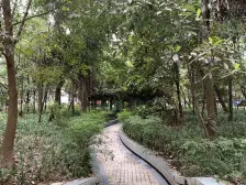 高庙轻轨站旁,大3房双卫精装,性价比超高